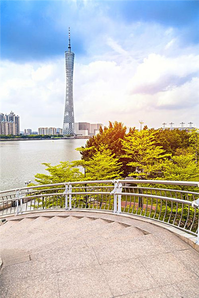 了解深圳福永的茶资源