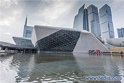 探索深圳洋马资源的丰富多样性